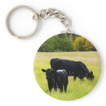 Black Angus Pair in Field