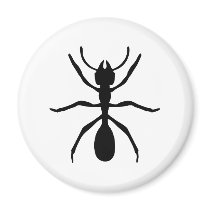 black ant magnet