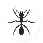 black ant stickers