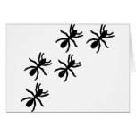 black ant trail card