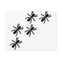 black ant trail postcard
