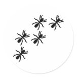 black ant trail round stickers