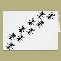 black ants trail cards