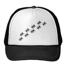 black ants trail hat