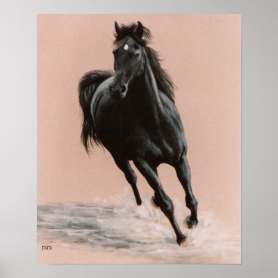Black Arabian Horse print by DiDi_Higginbotham