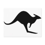 black australian kangaroo - australia postcard