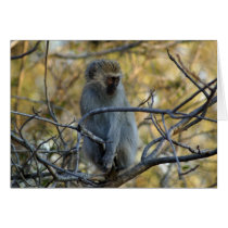 Black Baboon Greeting Card