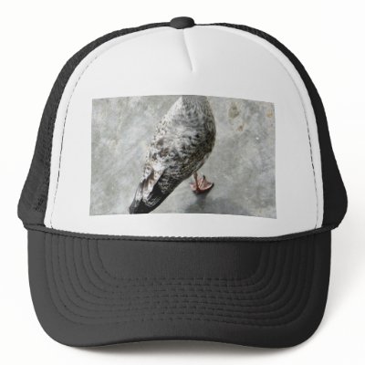 Black Beaked Bird Trucker Hat by lifesphere