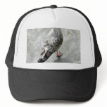 Black Beaked Bird hats