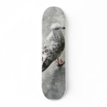 Black Beaked Bird Skate Board Deck