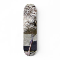 Black Beaked Sea Bird Animal Skate Decks