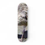 Black Beaked Sea Bird Animal skateboards