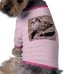 Black Beaked Sea Bird pet clothing