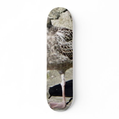 Black Beaked Sea Bird Skateboard by lifesphere
