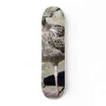 Black Beaked Sea Bird skateboards