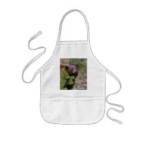 black bear aprons