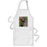 black bear apron