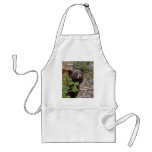black bear aprons