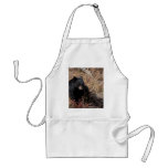 Black Bear Aprons