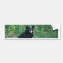 black bear bumper stickers