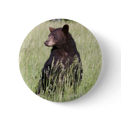 Black Bear Button by luv2wander
