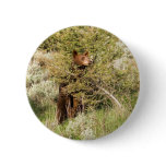 Black Bear Button