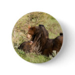 Black Bear Pin
