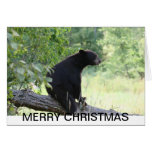black bear christmas card