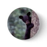 Black Bear Cub Pinback Buttons