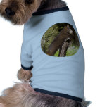 Black Bear Cub pet clothing