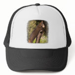 Black Bear Cub Mesh Hat