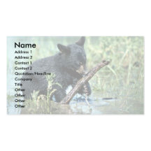 Black Bear-cub in summer marsh Business Cards