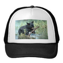 Black Bear-cub in summer marsh Mesh Hat