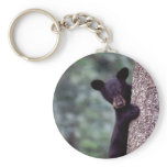 Black Bear Cub Key Chains