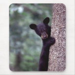 Black Bear Cub Mouse Mat