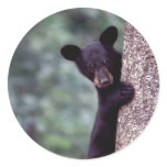 Black Bear Cub Round Sticker
