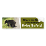 Black Bear Cub Wildlife Supporter Bumper Sticker bumper stickers