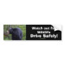 Black Bear Cub Wildlife Supporter Bumper Sticker