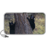 black bear cubs notebook speaker