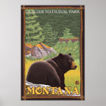 Black Bear in Forest - Glacier National Park, MT Posters