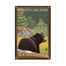 Black Bear in Forest - North Cascades, Washingto Postcard