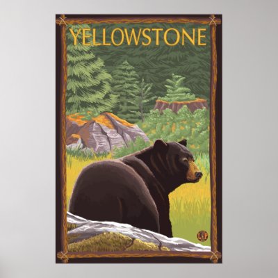 Black Bear in Forest - Yellowstone National Park by LanternPress