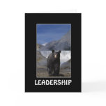 BLACK BEAR LEADERSHIP Motivational Cards