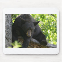 black bear mouse pads