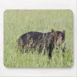 Black Bear Mousepad