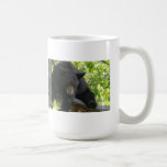 black bear mugs
