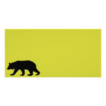 Black Bear