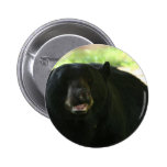 black bear pinback button