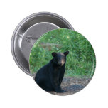 black bear pinback button