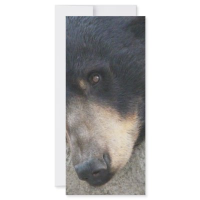 black bear customized rack card by pinkypetals
